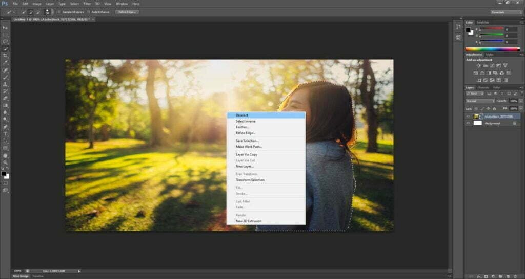 How To Use Quick Selection Tool in Photoshop? [4 Easy Steps]