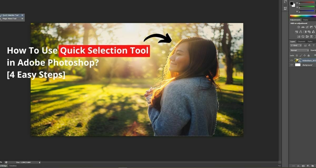 How To Use Quick Selection Tool in [4 Easy Steps]