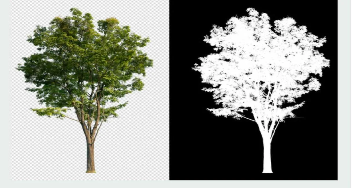 What are clipping path