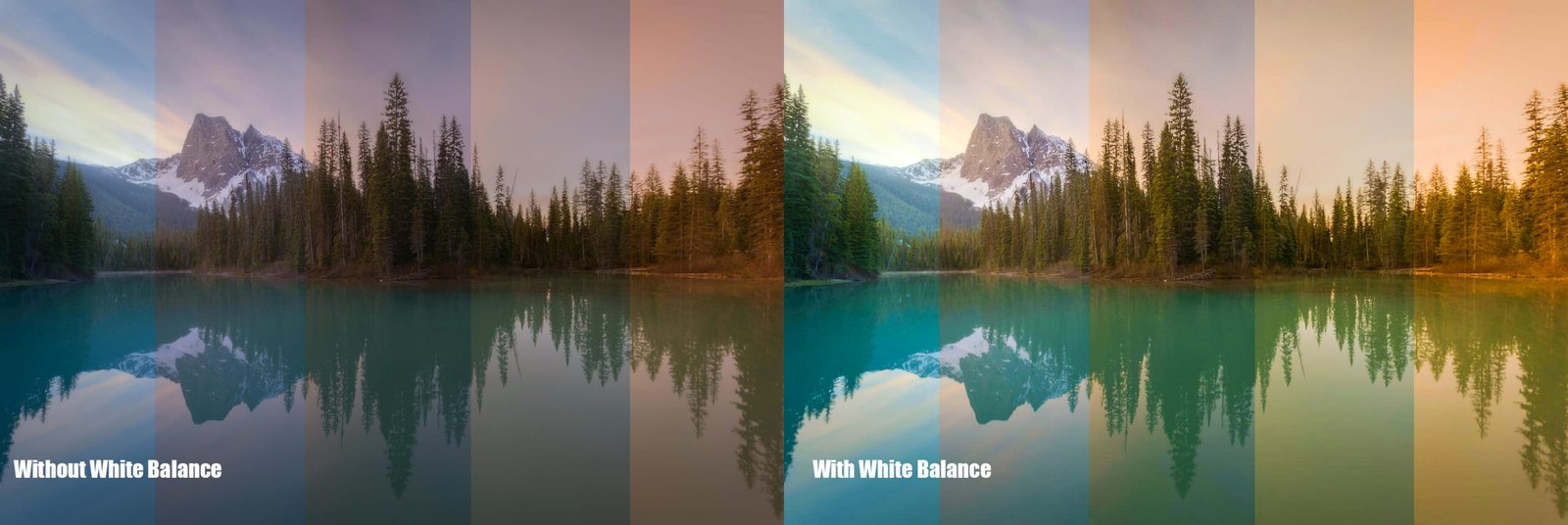 White Balance - What Does it Mean to Edit A Picture