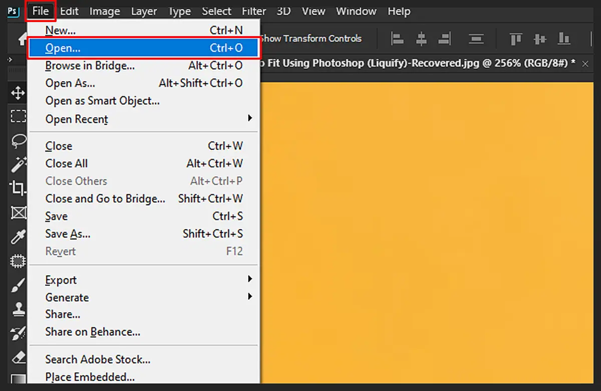 photoshop fat to skinny step 1