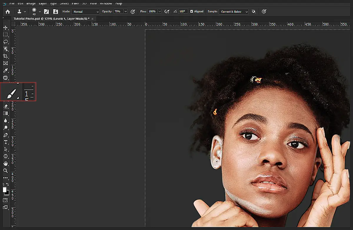 Step 3 Select the Brush Tool